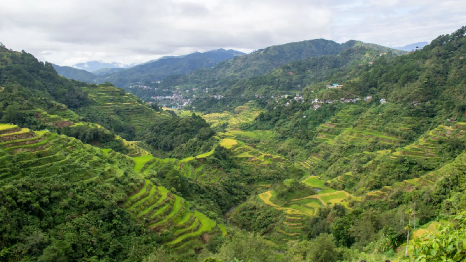 Student visits Banuae Rice Terraces 