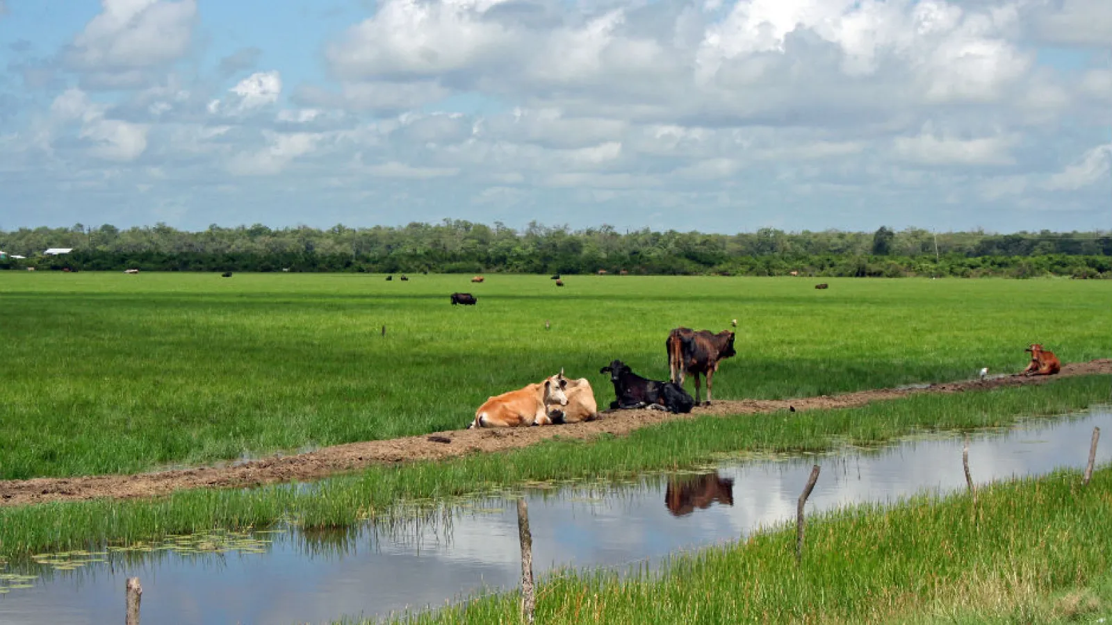 Student vists pasture 