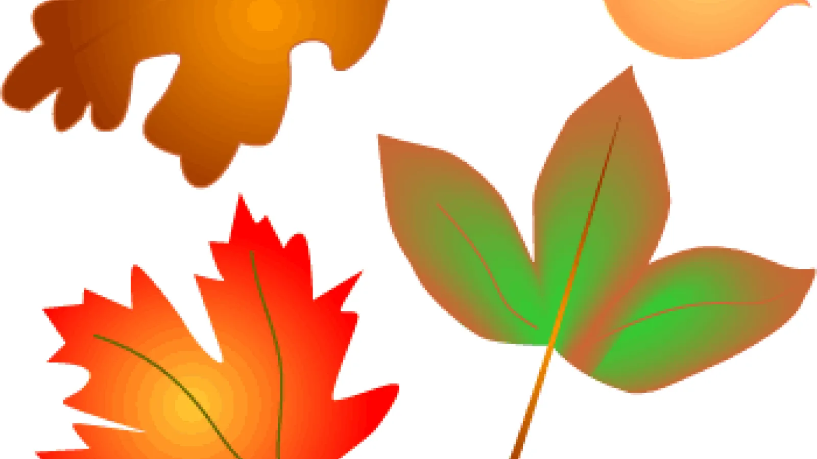 Autumn Leaves