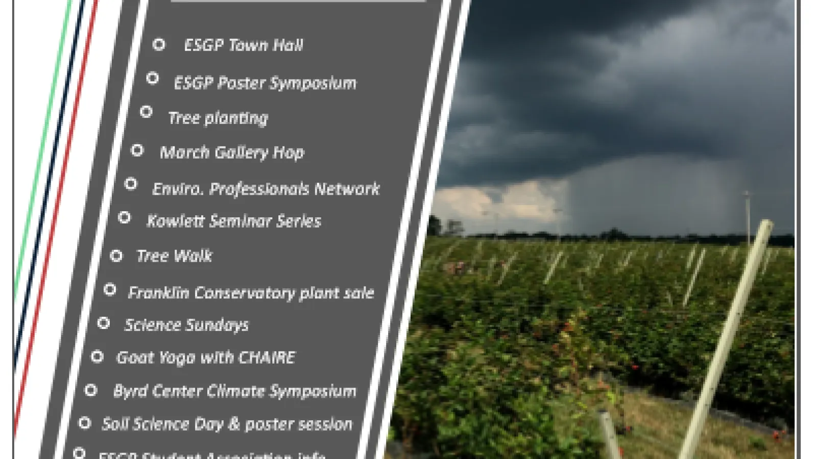 March 2019 newsletter 