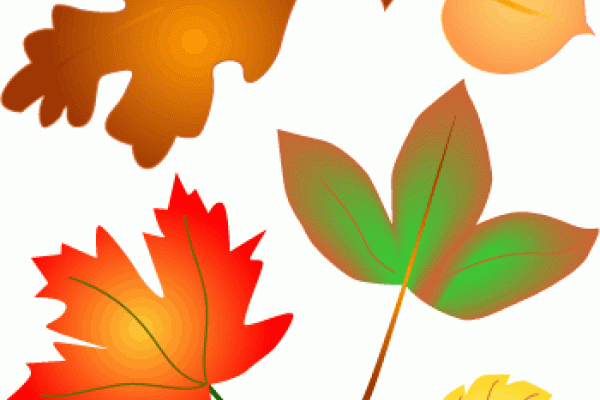Autumn Leaves Autumn Leaves